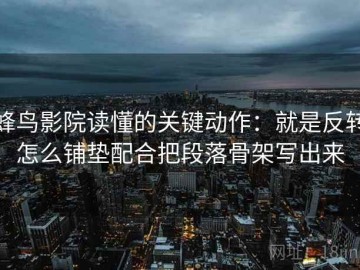 蜂鸟影院读懂的关键动作：就是反转怎么铺垫配合把段落骨架写出来